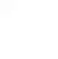 FRITSCH